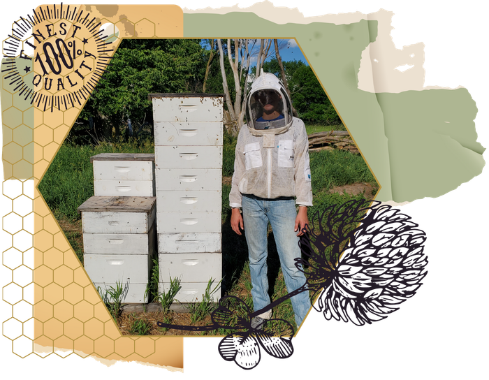 A collage of vintage papers with an image of a beekeeper and an illustration of a clover flower