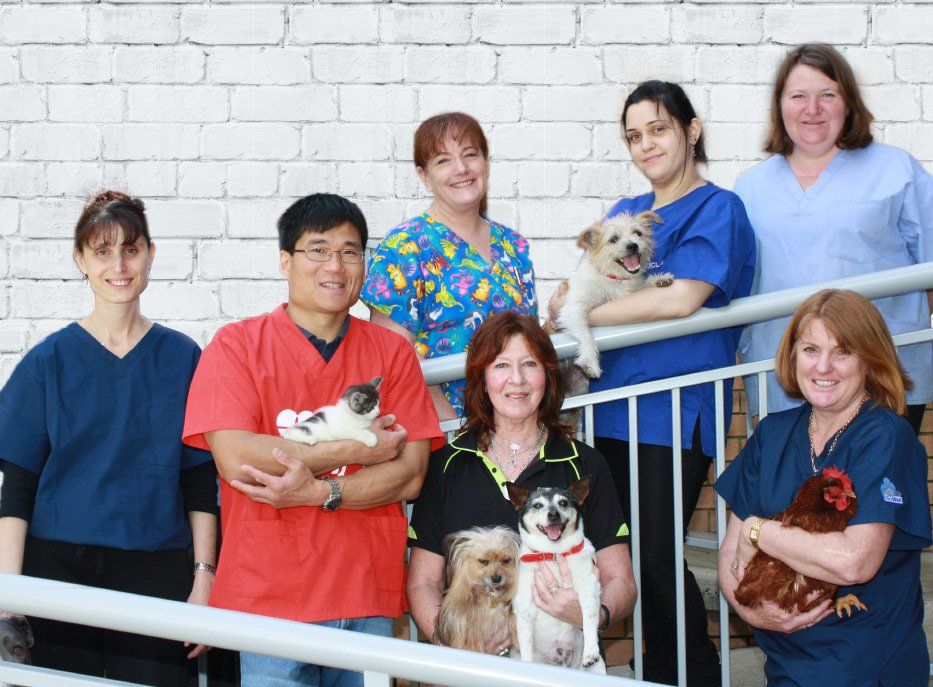 Peakhurst Veterinary Clinic + Small Animal Hospital
