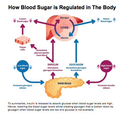 blood sugar illustration