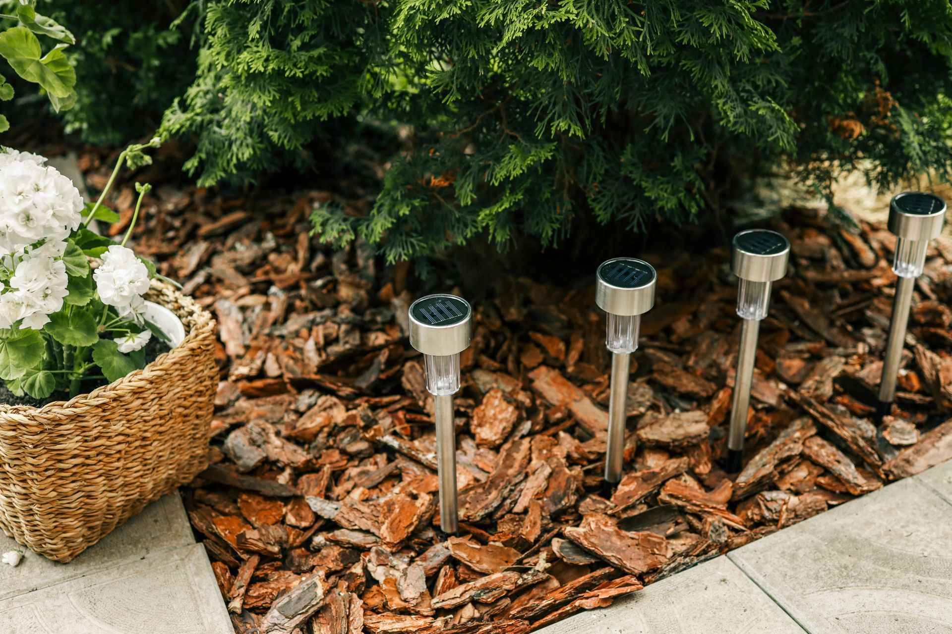 Solar pathway lights in mulch bed beside potted flowers and green shrubbery.