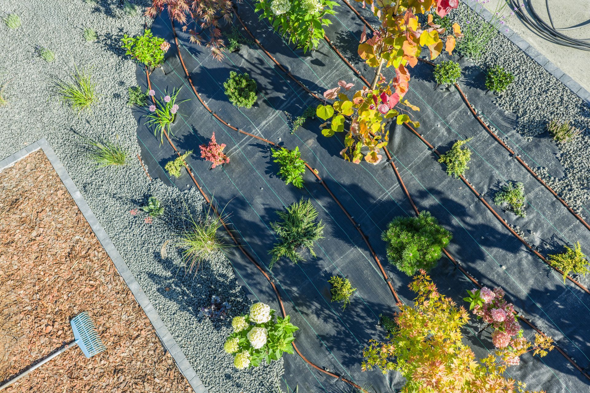 Overhead view of a landscaped garden bed with various plants, irrigation lines, gravel, and mulch.