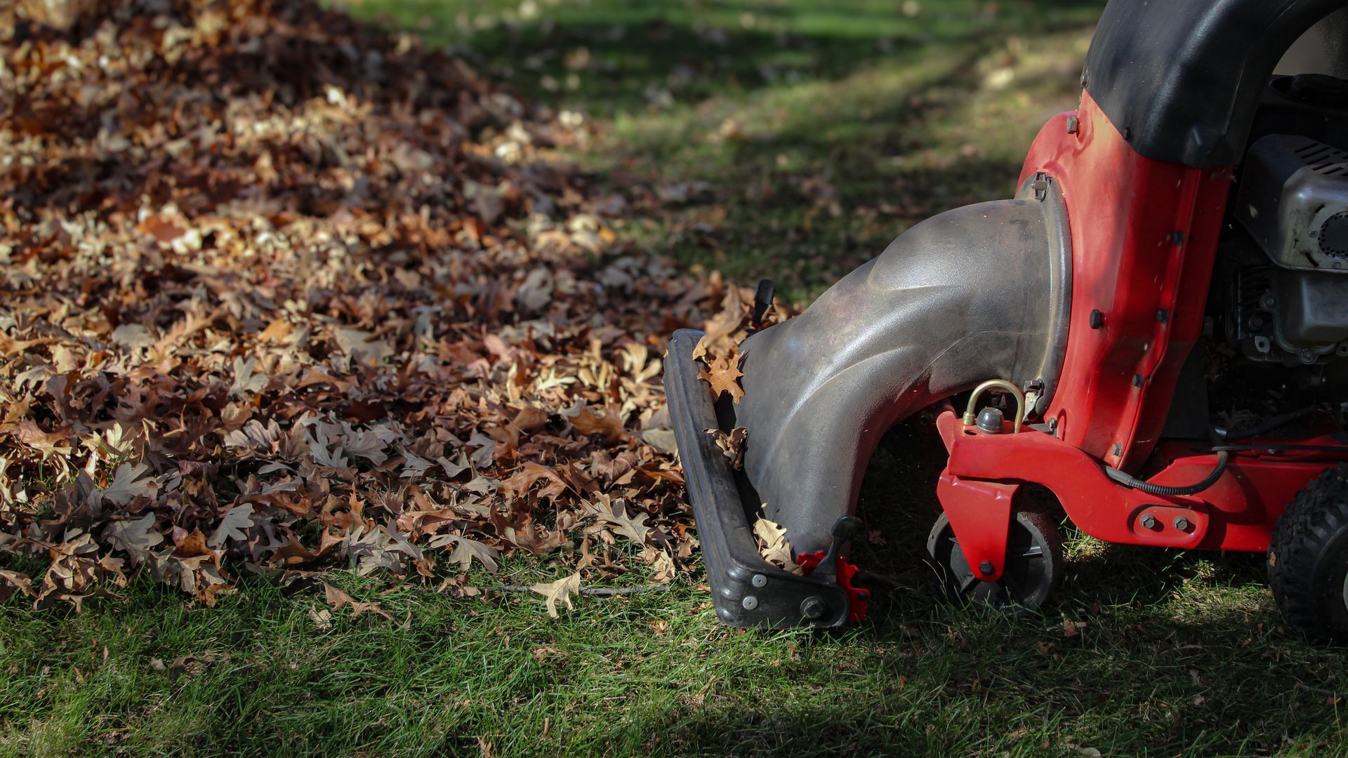 A red leaf vacuum mulches leaves on a green lawn.