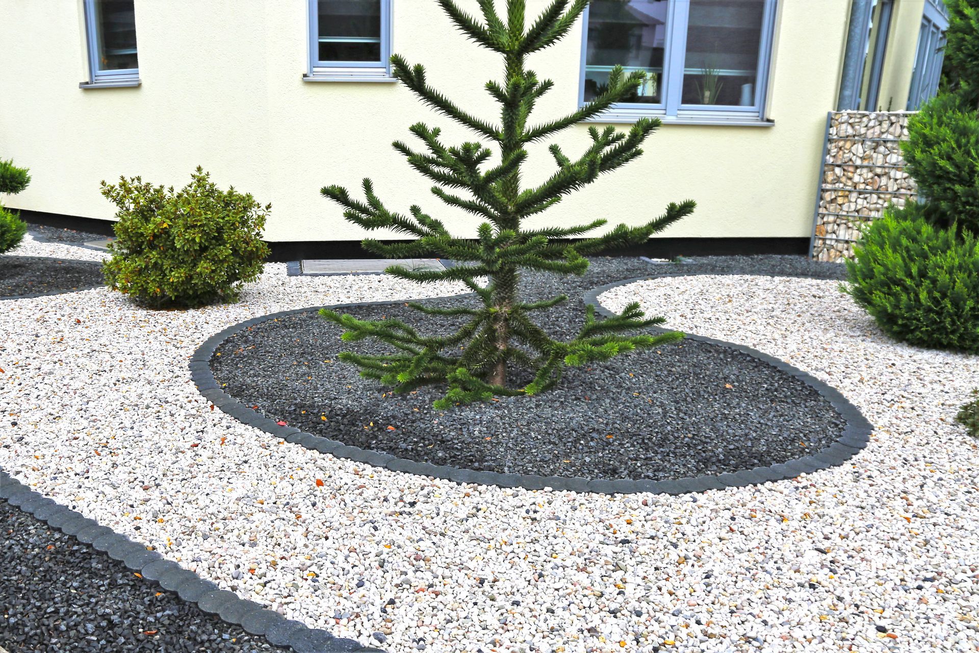Landscaped garden bed with light and dark gravel, small tree, and shrubs.