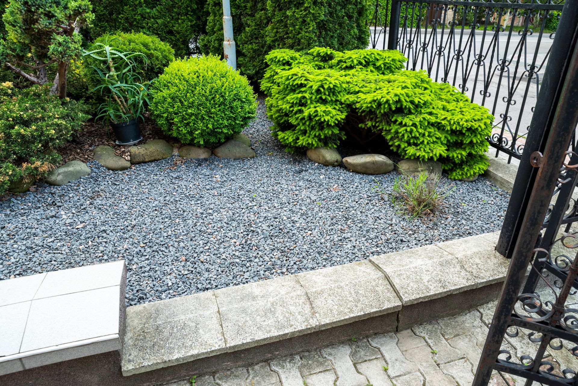 Rock garden with green shrubs and gravel, bordered by stone and a wrought iron fence.