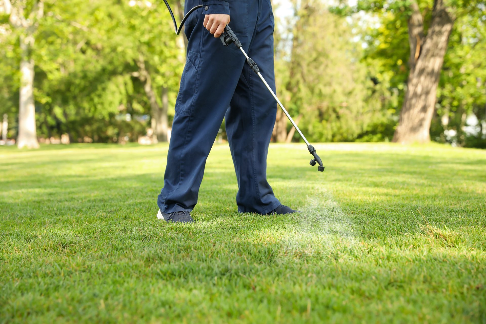 Person spraying a lawn with pesticide. Green grass, blue pants, and a wooded background.