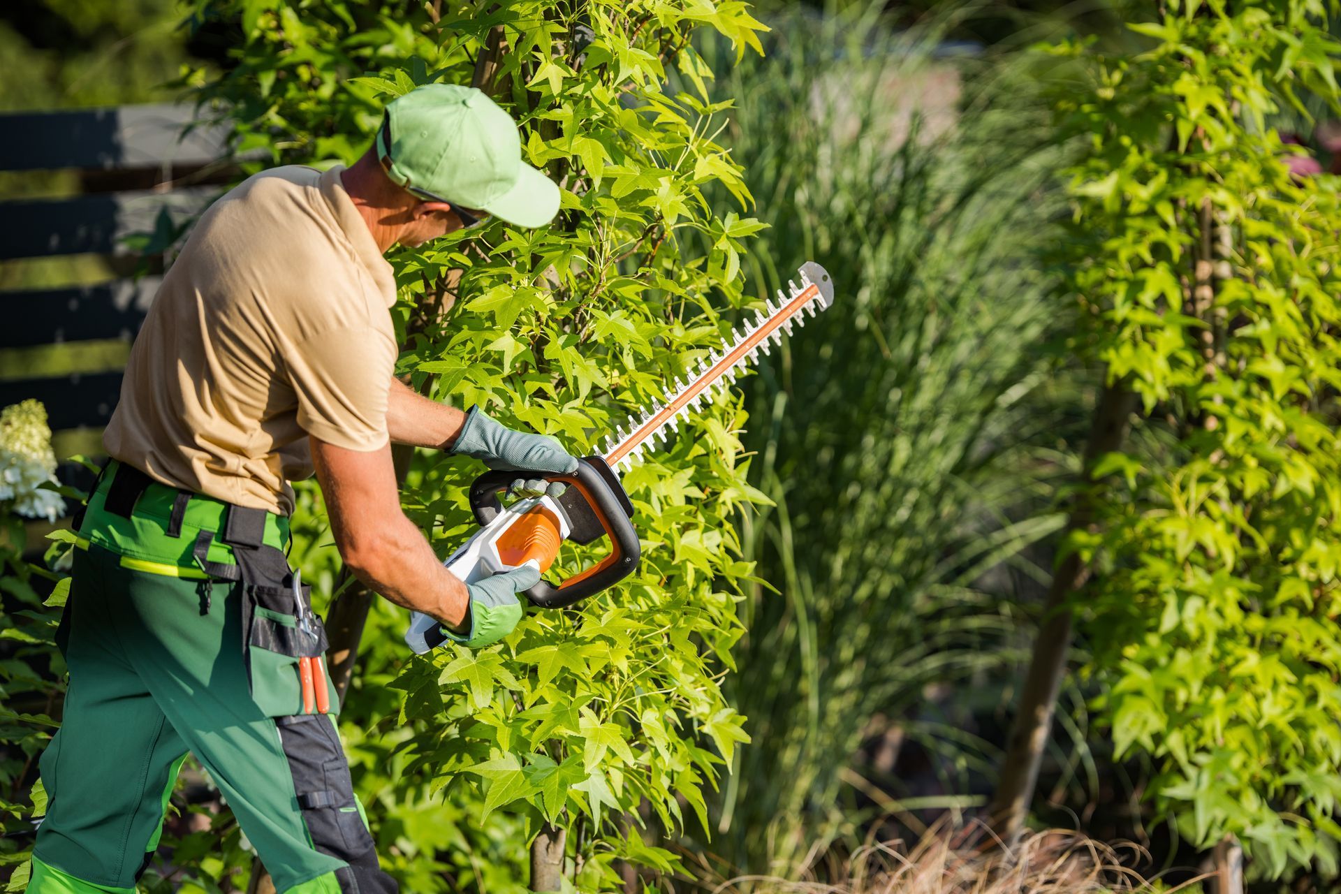 Gardener trims a hedge with a powered trimmer outdoors. Green and tan clothing, sunny day.