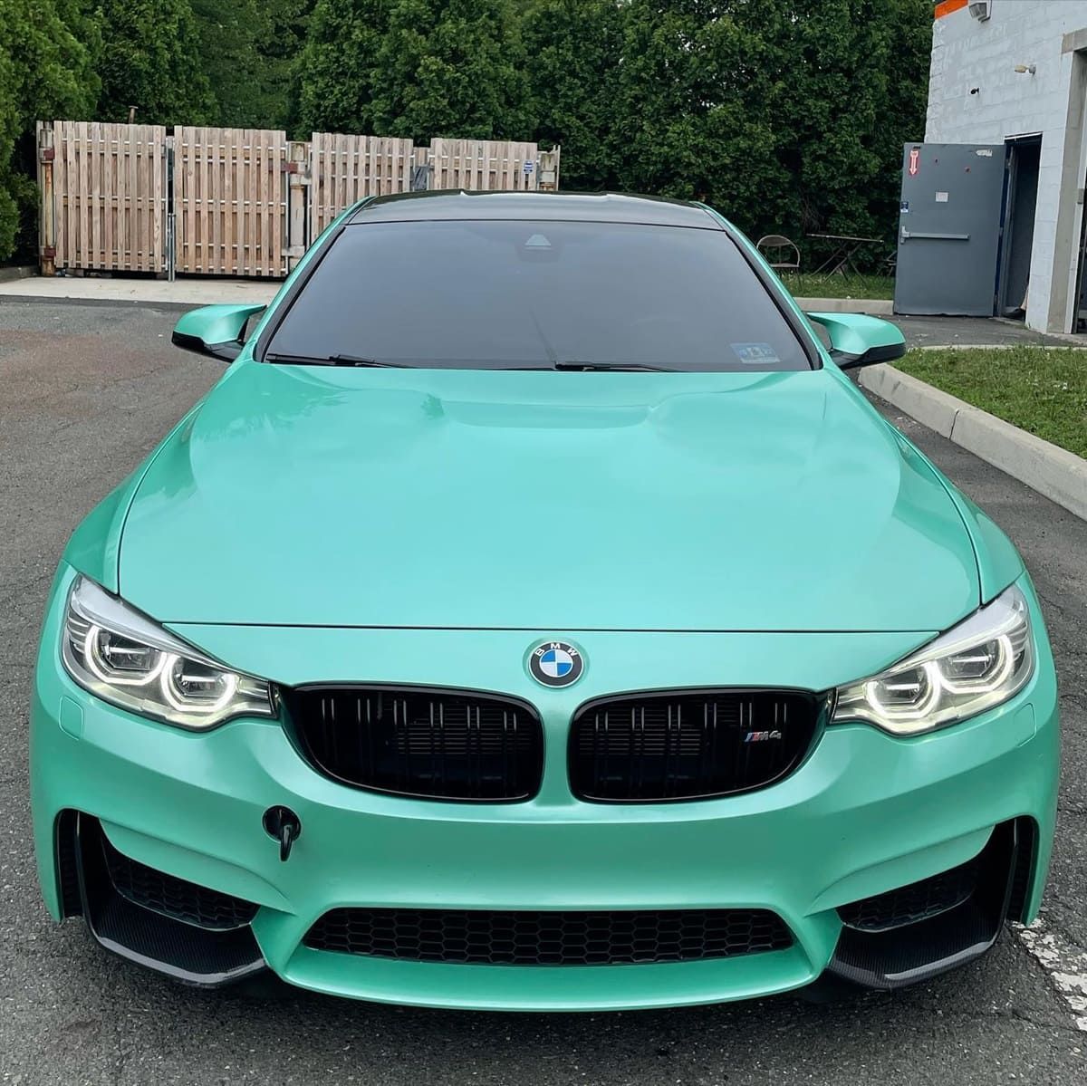 Paint Protection Film Clear Bra