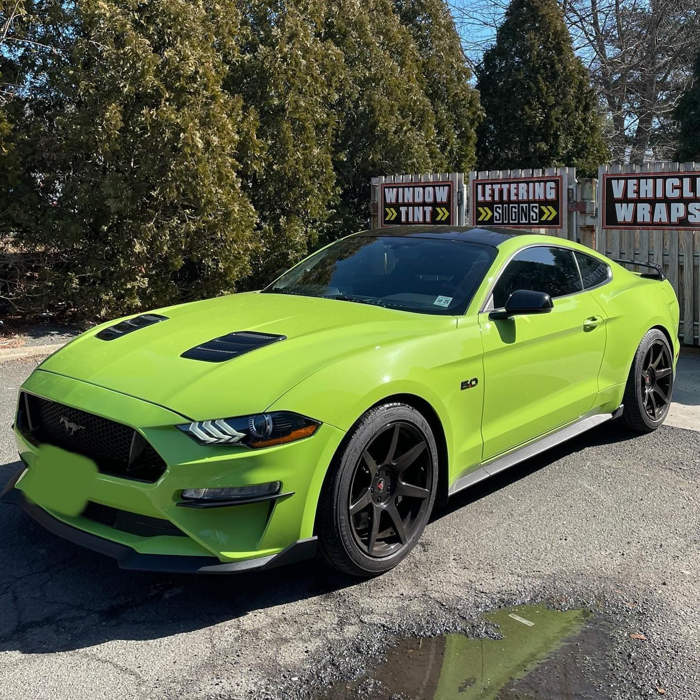 Privacy Window Film for car