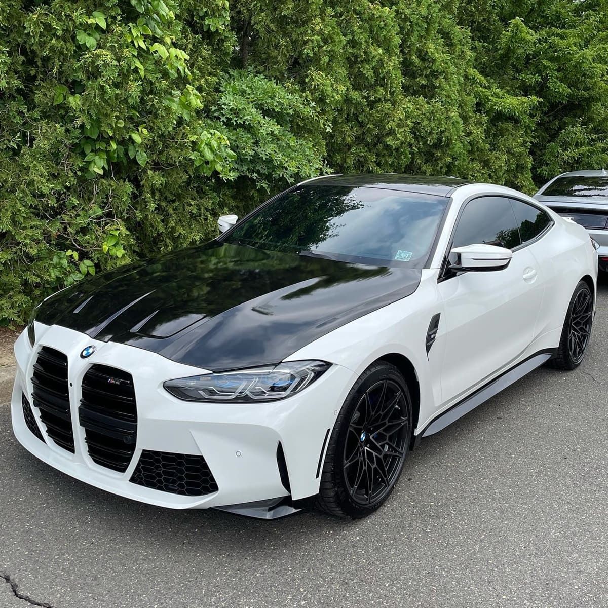 llumar platinum paint protection film