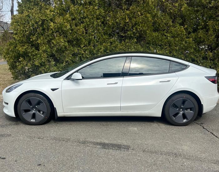 formula one auto tint