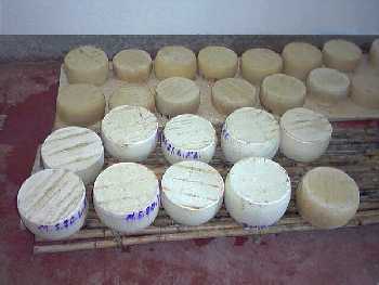 formaggi appena fatti