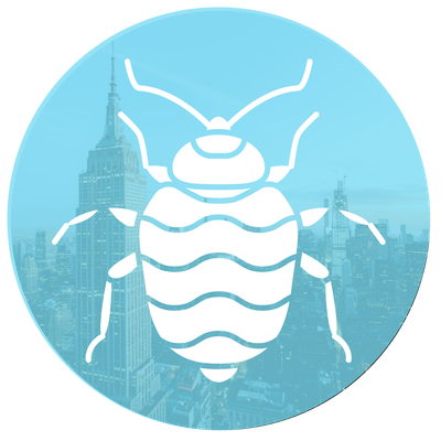 Bed Bug Control