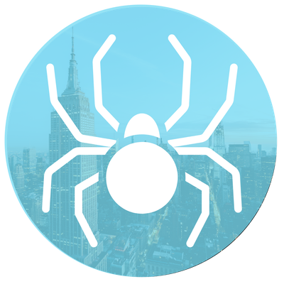 Spider Extermination
