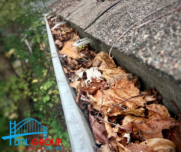 Clogged roof gutter filled with dry leaves beside a shingled roof edge