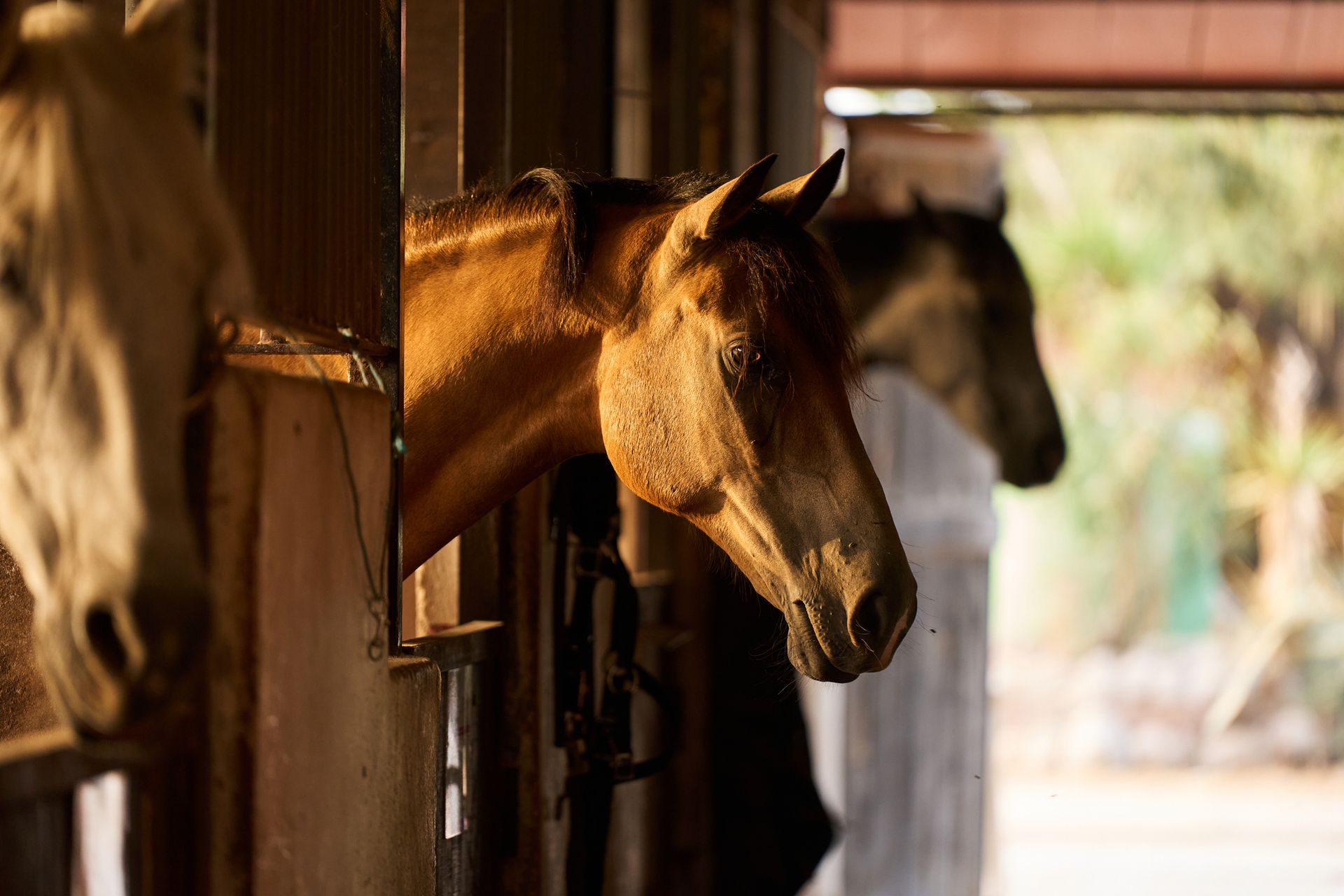 Bulldozer Sitting on Top of Dirt Field - Elizabeth, CO – NRK Skidsteer