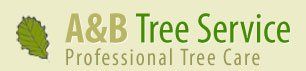 Appleton Tree Service, Appleton Stump Grinding