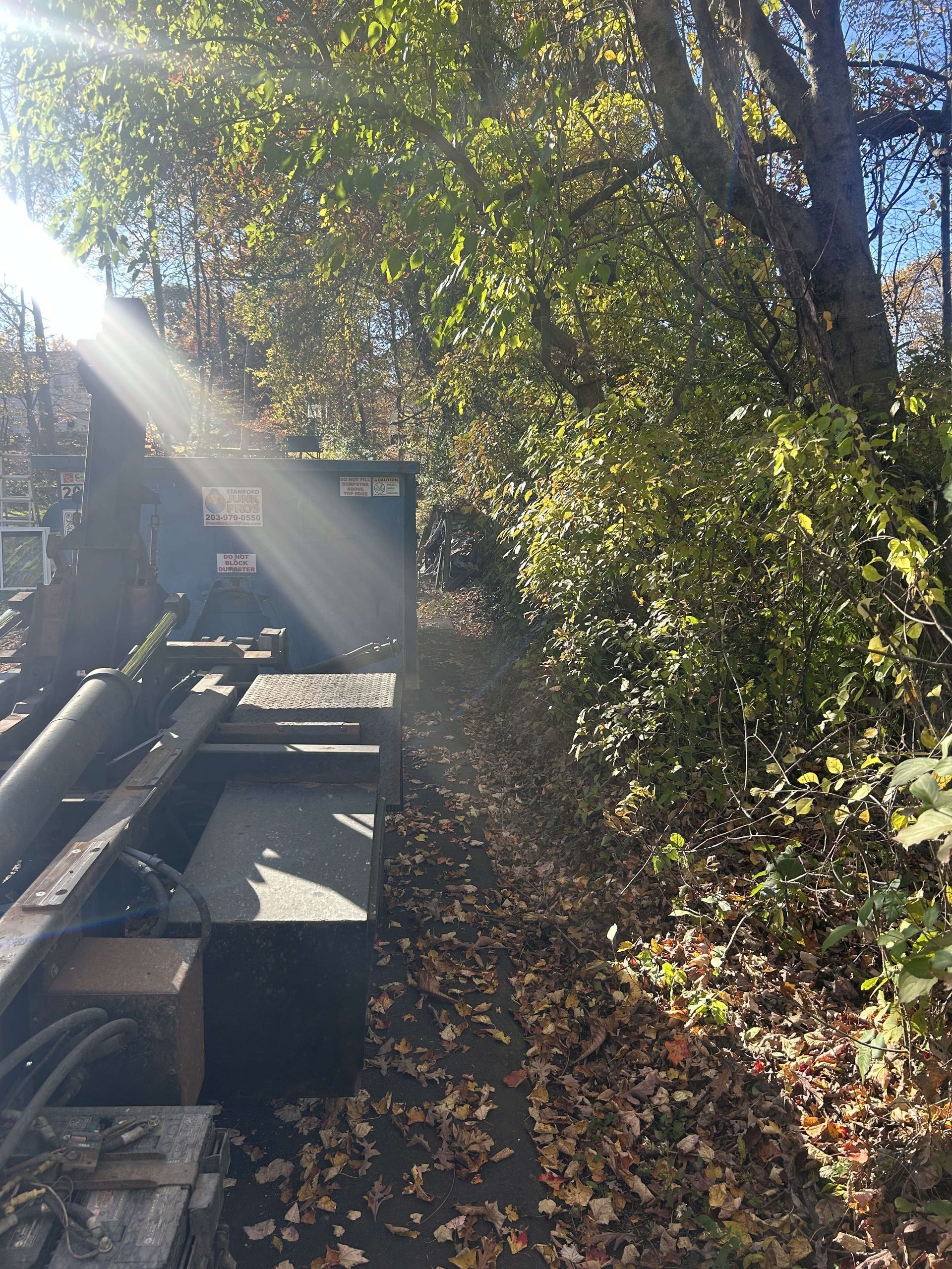 dumpster next to a leafy path, sunlight streams through trees, autumn leaves on the ground
