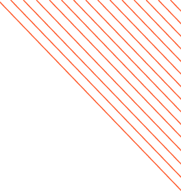 Grizzly Junk Pros — photo 1