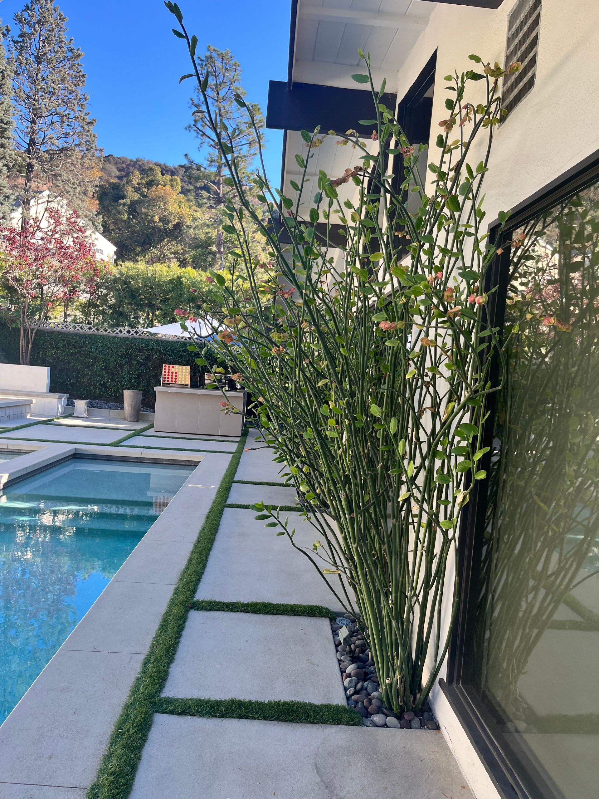 A house with a swimming pool in the backyard