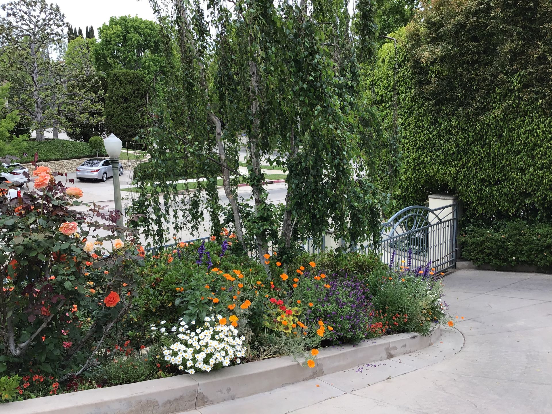 A driveway with flowers and trees on the side of it