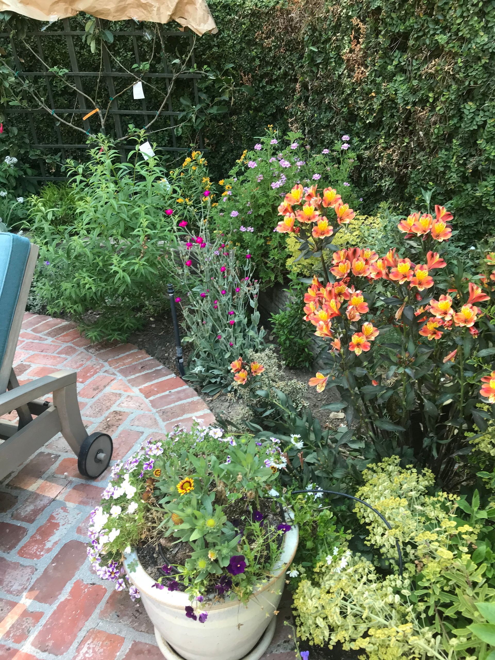 A patio with a chair , umbrella and potted plants.