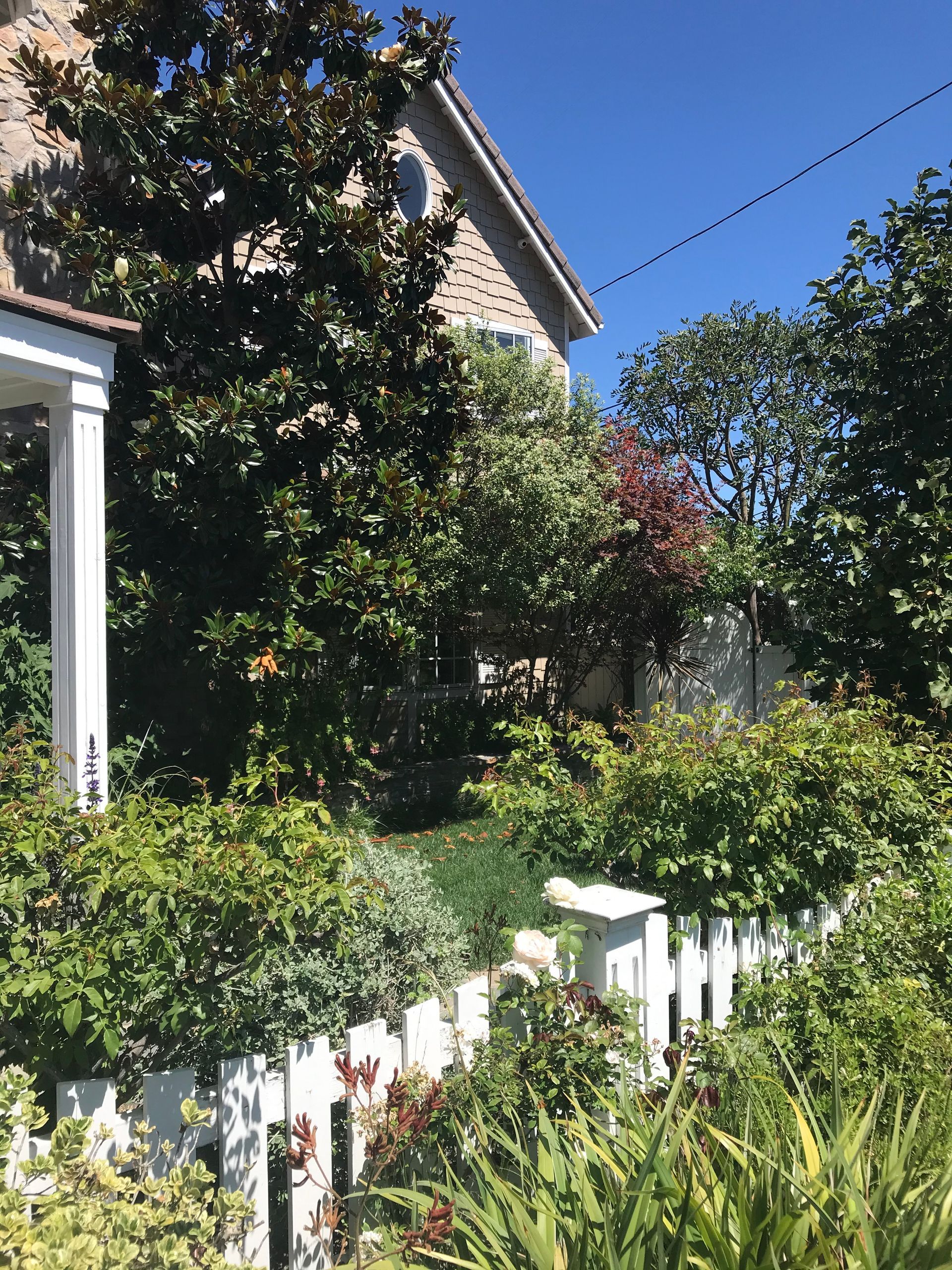 A house with a white picket fence surrounded by trees and bushes.