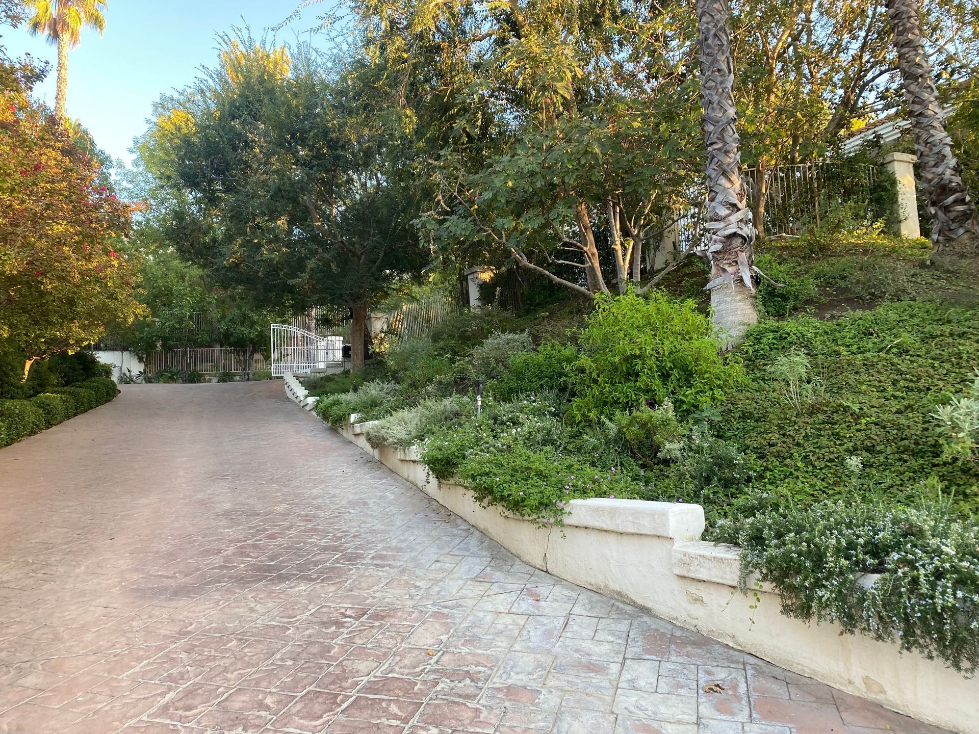 A brick driveway leading to a house surrounded by trees and bushes.