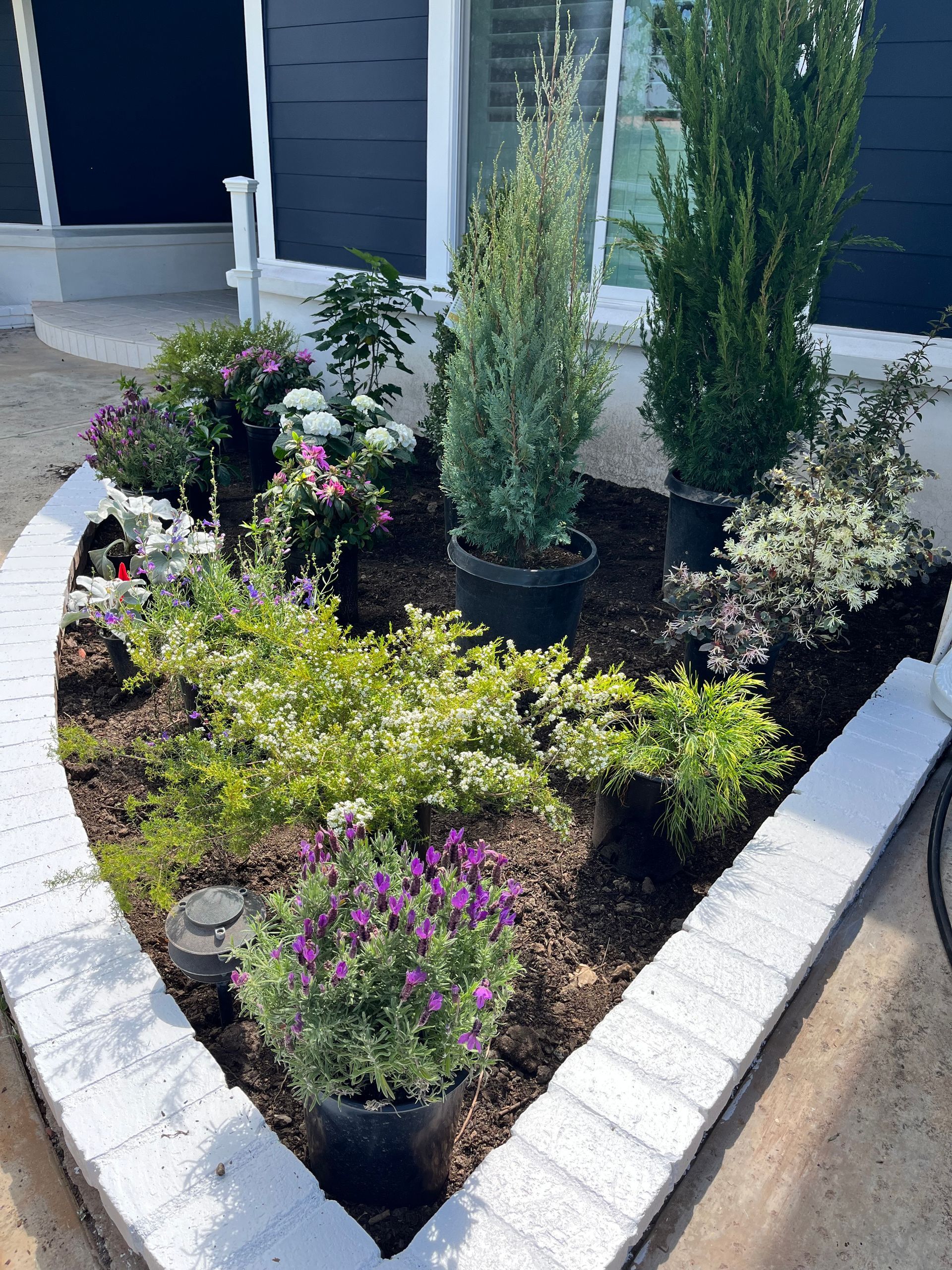 A stone walkway leading to a house surrounded by trees and bushes.