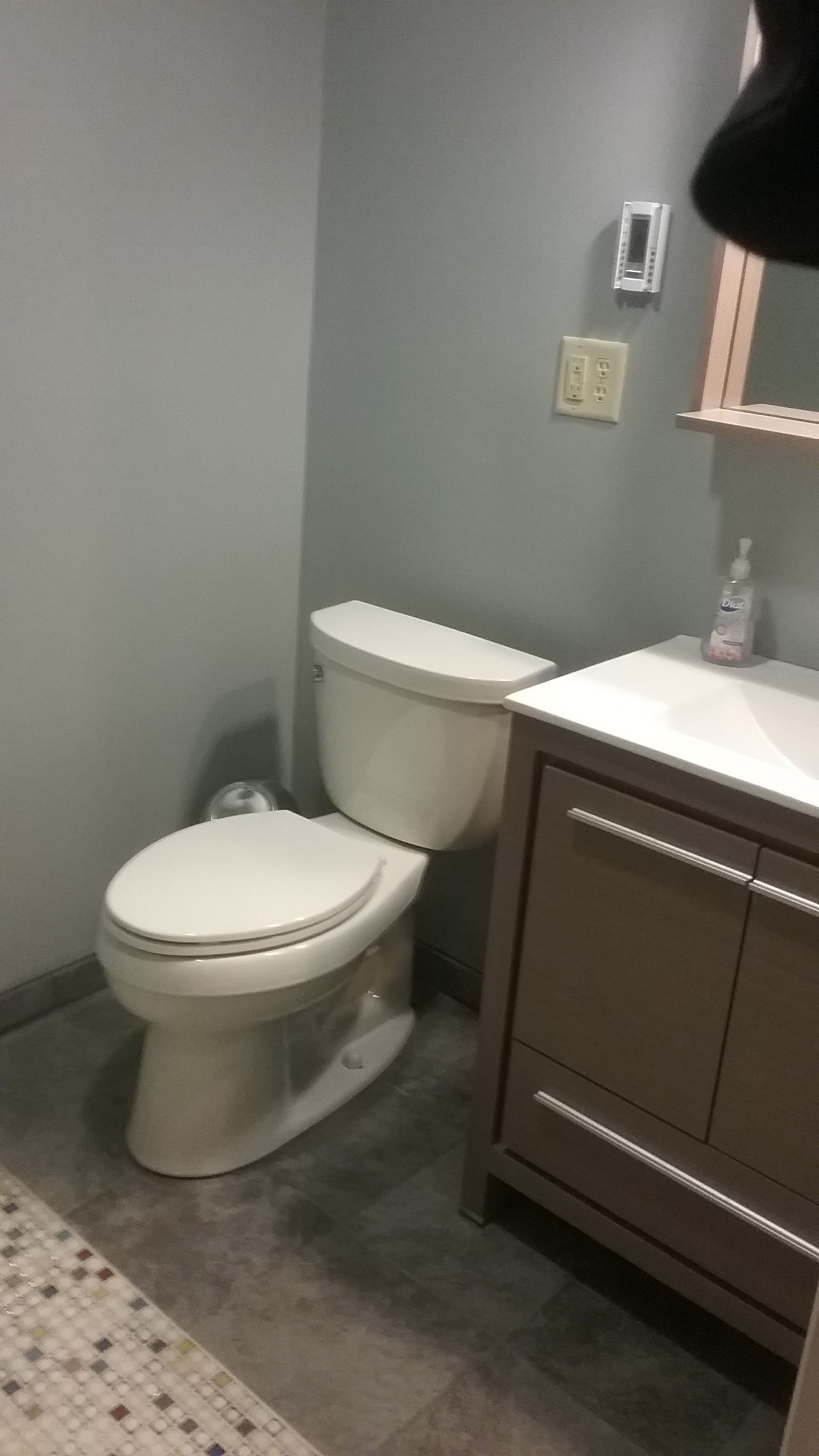 Toilet | Lansing, NY | ASI Renovations