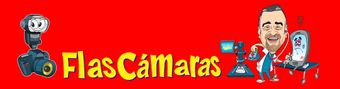 Flas Cámaras
