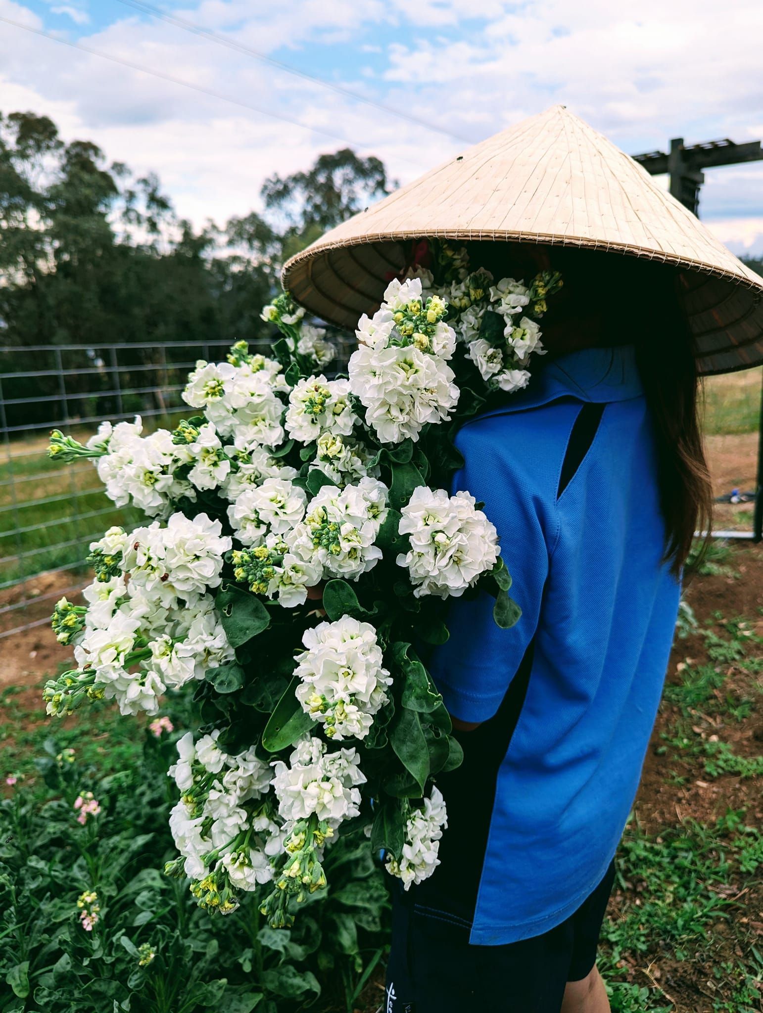 A Woman Wearing a Conical Hat is Holding a Bouquet of White Flowers — Hello Poppy Lane Florist In Albury, NSW