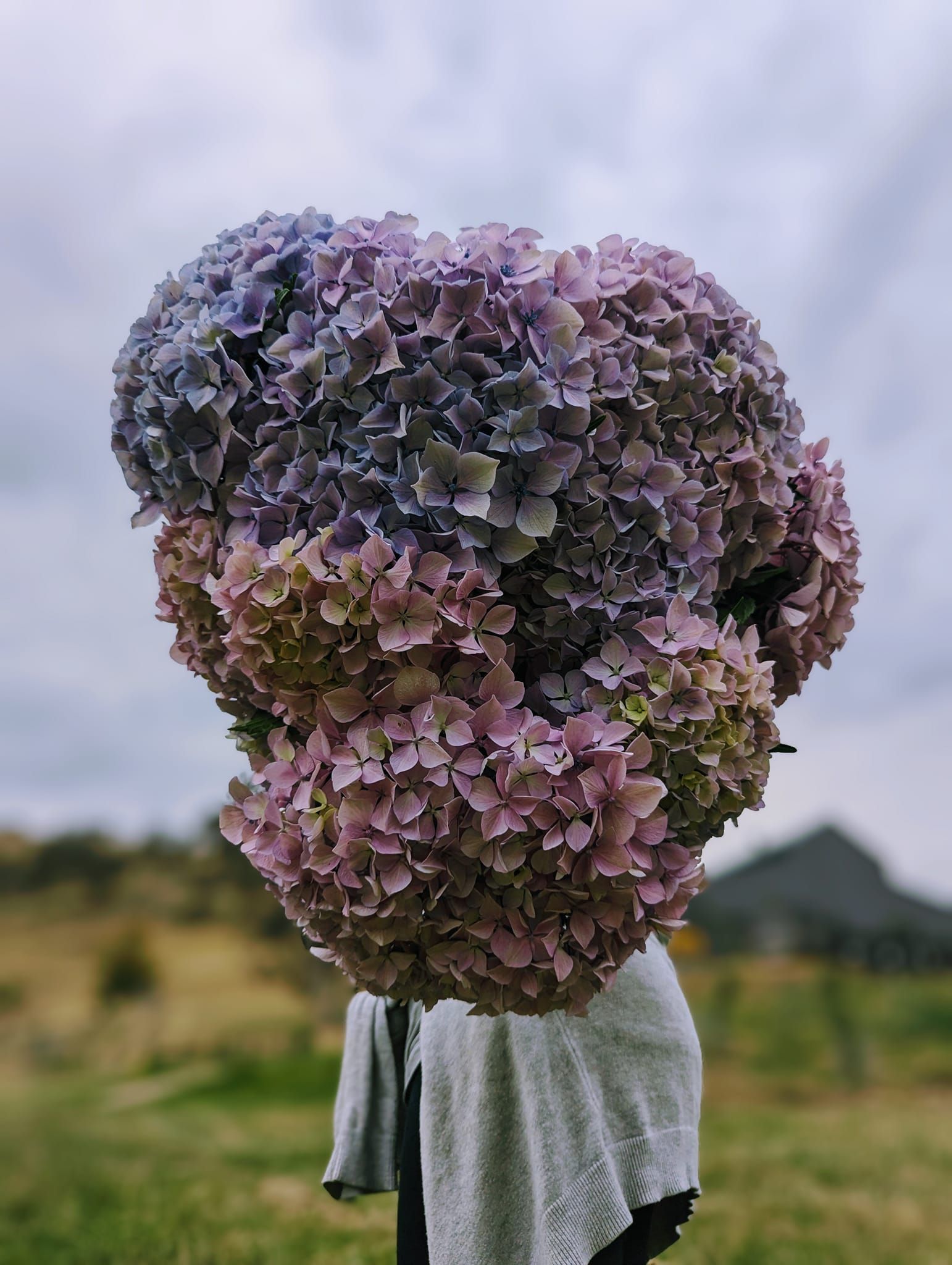 A Vase Filled With Flowers is Sitting on a Table — Hello Poppy Lane Florist In Albury, NSW