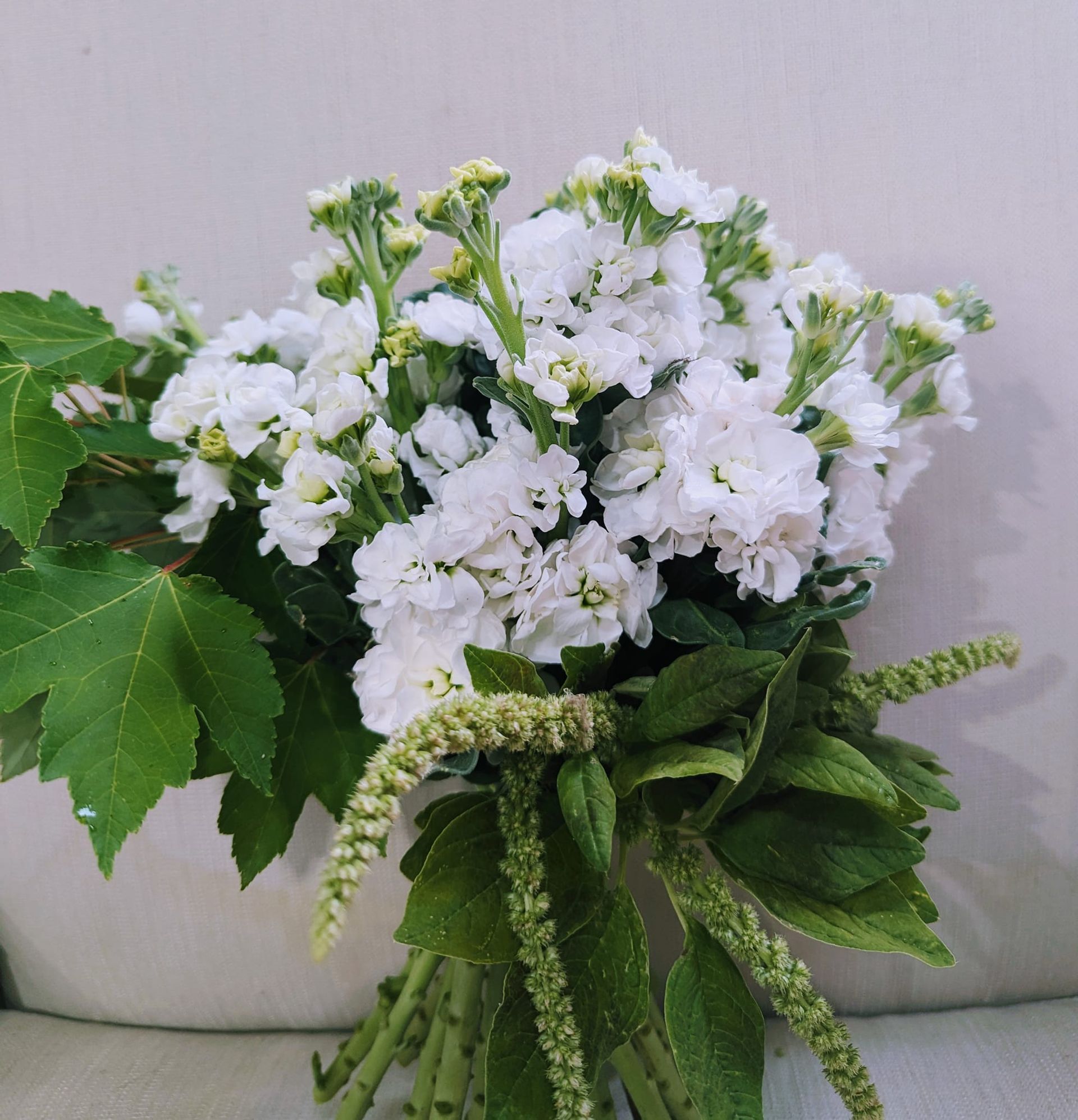 A Bouquet of White Flowers and Green Leaves in a Vase — Hello Poppy Lane Florist In Albury, NSW