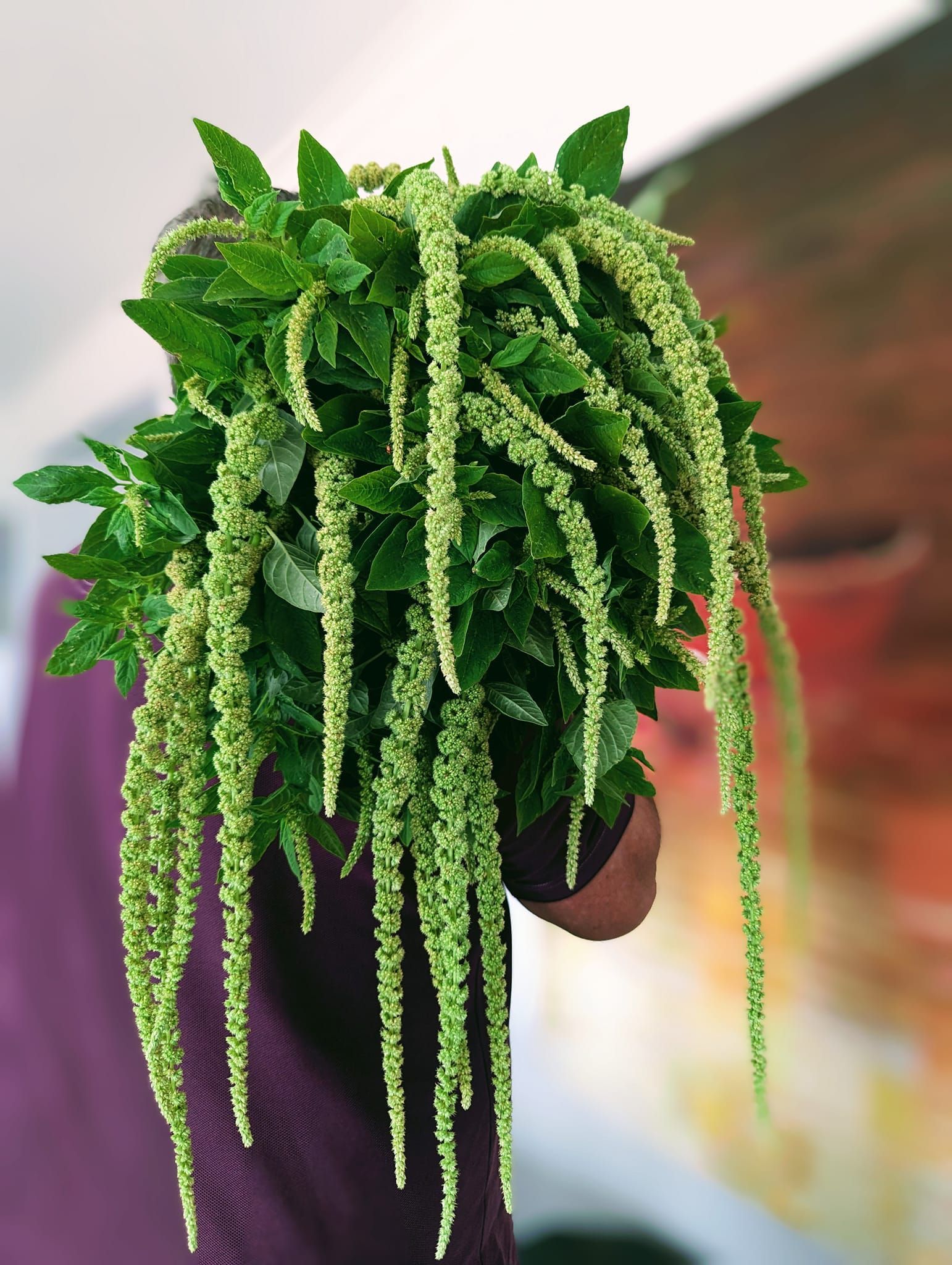 A Close Up of a Bouquet of Pink and White Flowers on a Table — Hello Poppy Lane Florist In Albury, NSW