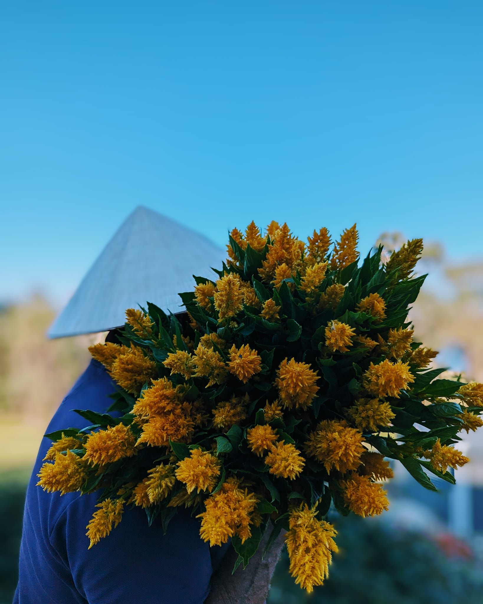 A Vase Filled With Lots of Different Colored Flowers — Hello Poppy Lane Florist In Albury, NSW