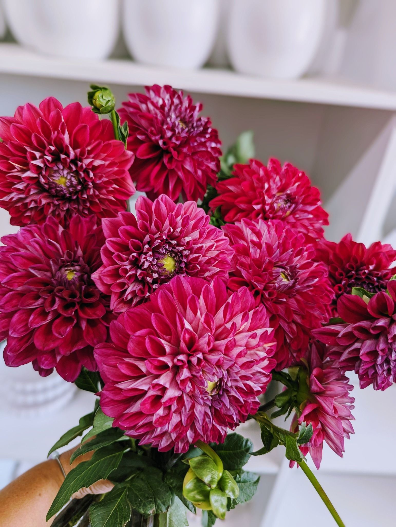 A Person is Holding a Bouquet of Pink Flowers in Their Hand — Hello Poppy Lane Florist In Albury, NSW