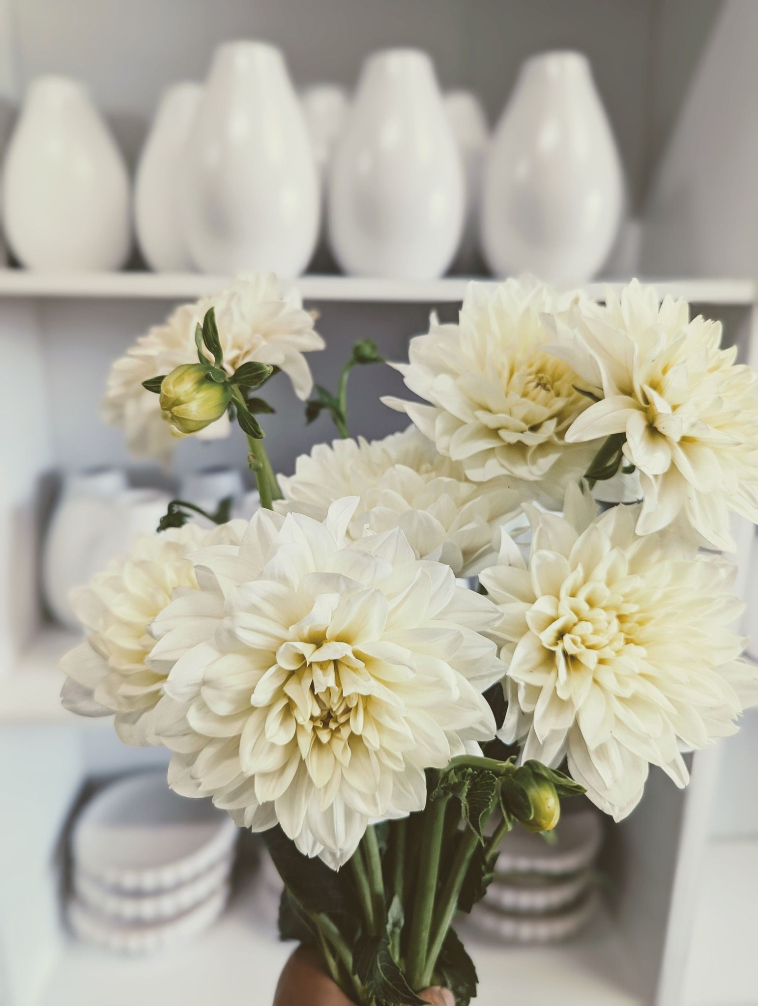 A Person is Holding a Vase of White Flowers in Front of a Shelf of White Vases — Hello Poppy Lane Florist In Albury, NSW