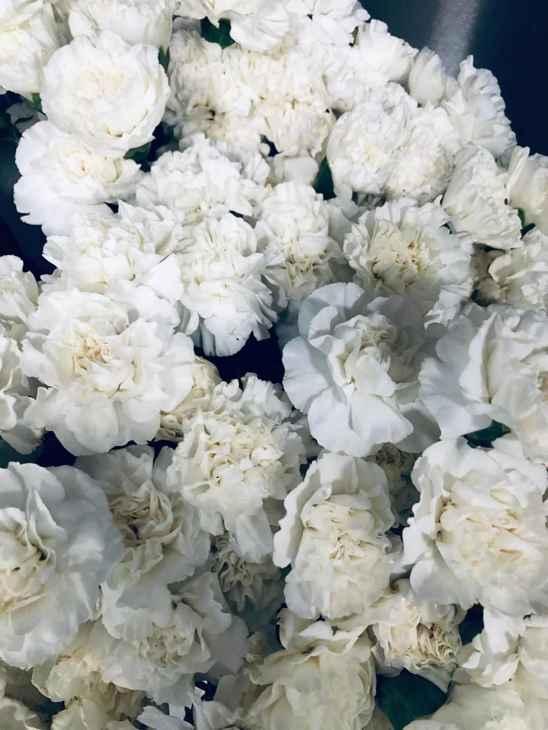 A Bunch of White Flowers Are Sitting on a Table — Hello Poppy Lane Florist In Wodonga, VIC