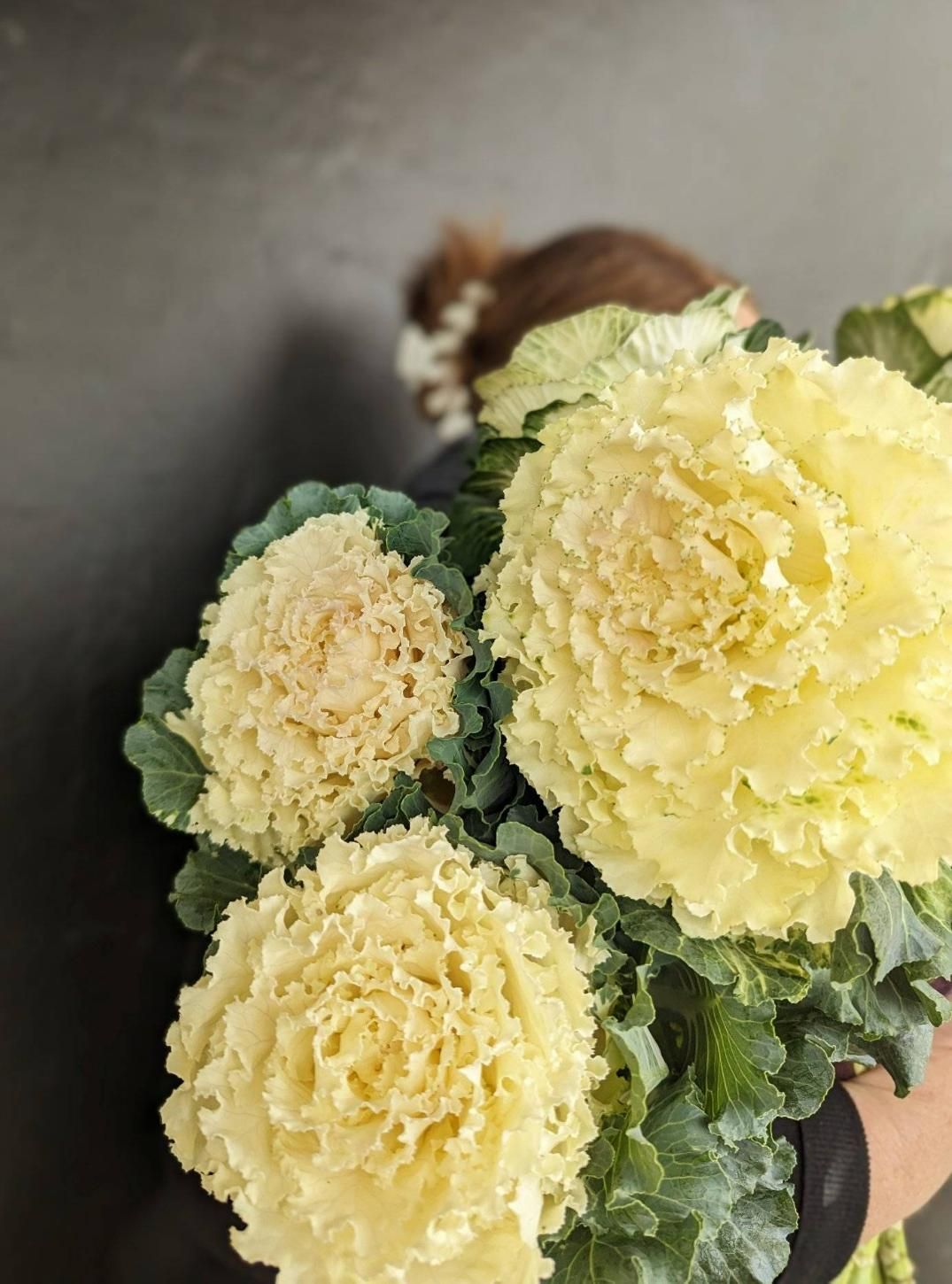 A Person is Holding a Bouquet of White Flowers in Their Hands — Hello Poppy Lane Florist In Wodonga, VIC