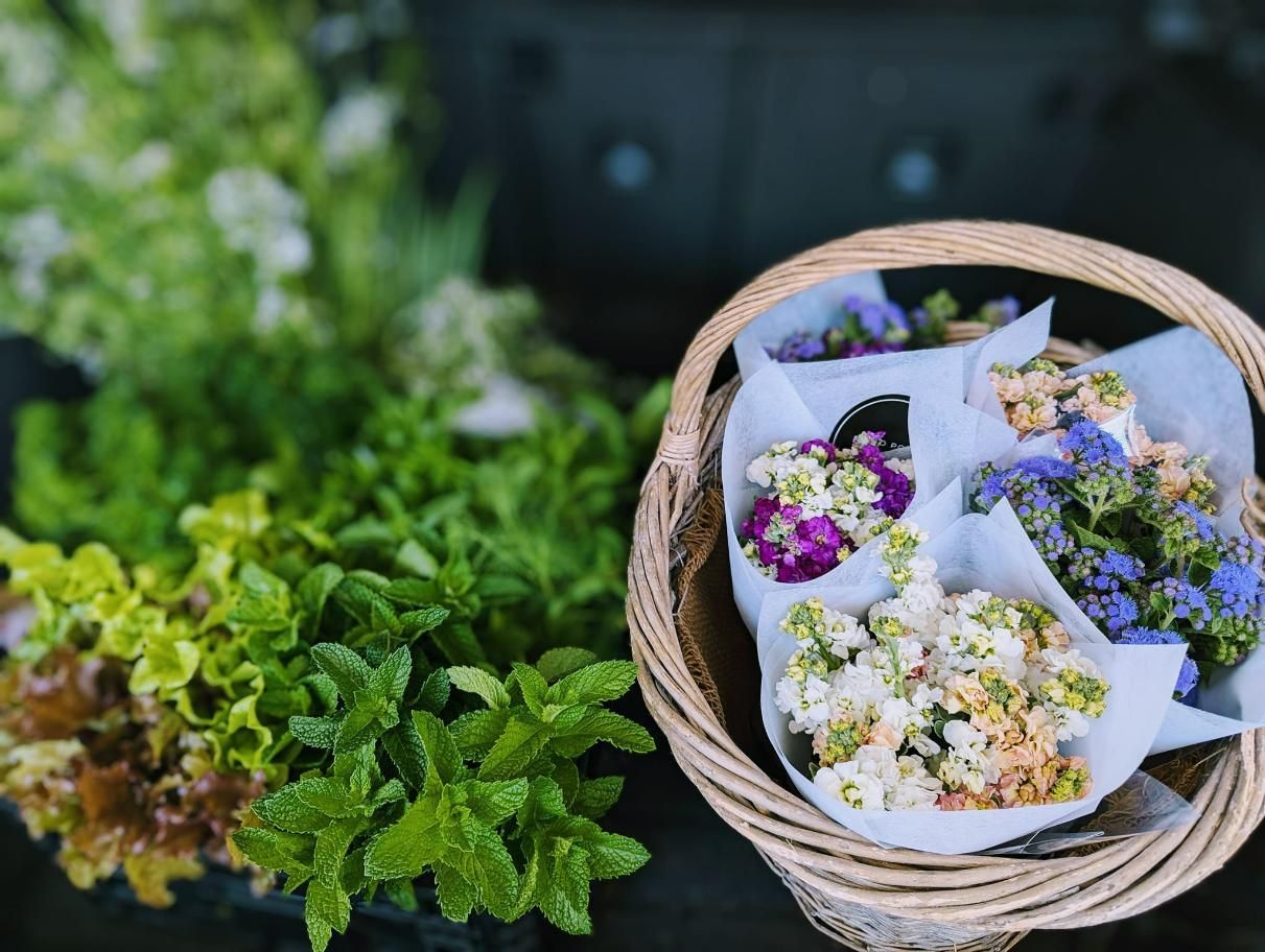 A Basket Filled With Flowers is Sitting Next to a Potted Plant — Hello Poppy Lane Florist In Wodonga, VIC