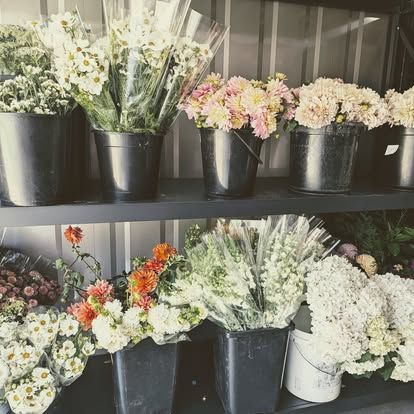 A Bunch of Buckets Filled With Flowers Are on a Shelf — Hello Poppy Lane Florist In Albury, NSW