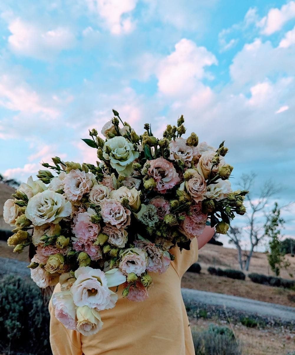 A Person is Holding a Bouquet of Flowers in Front of Their Face — Hello Poppy Lane Florist In Wodonga, VIC