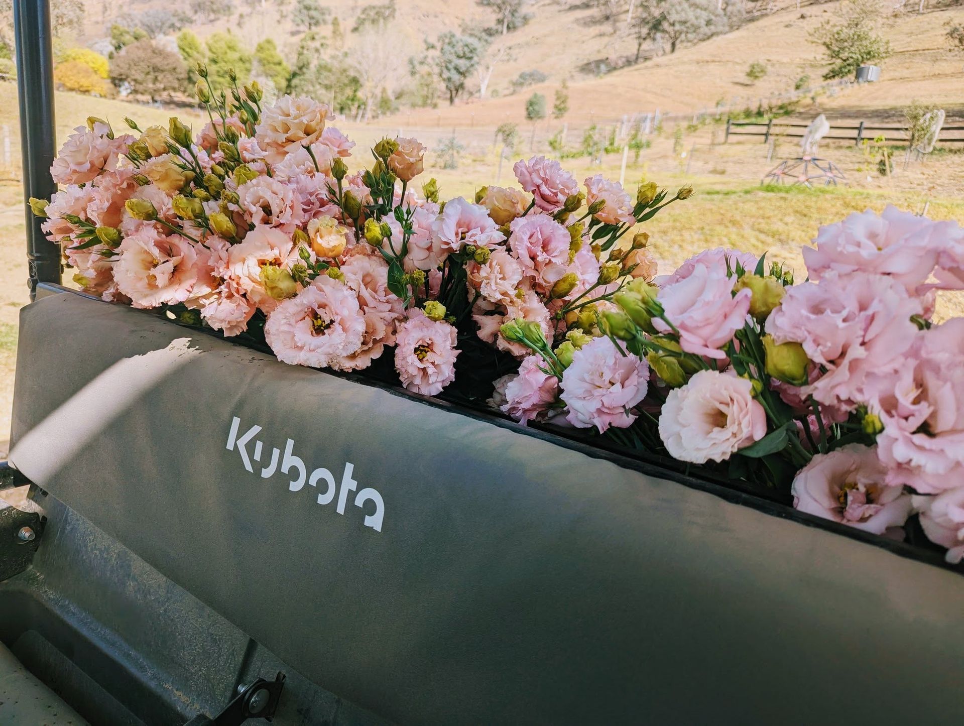 A Bunch of Pink Flowers Are Sitting on the Back of a Kubota Vehicle — Hello Poppy Lane Florist In Albury, VIC