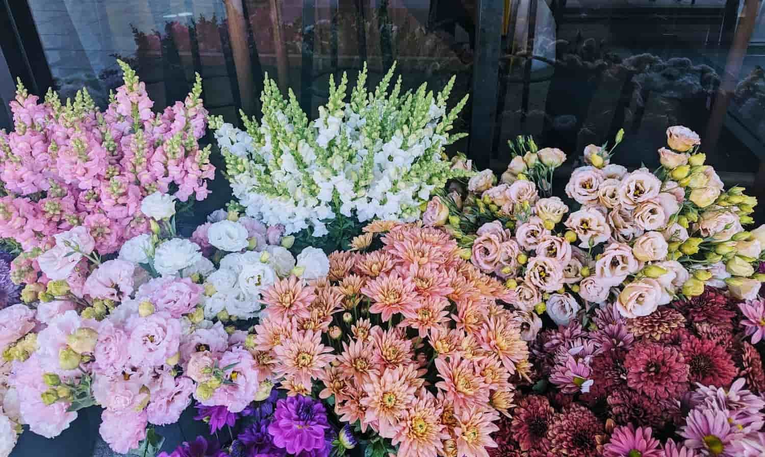 A Bunch of Different Types of Flowers Are Sitting on a Table — Hello Poppy Lane Florist In Rutherglen, NSW