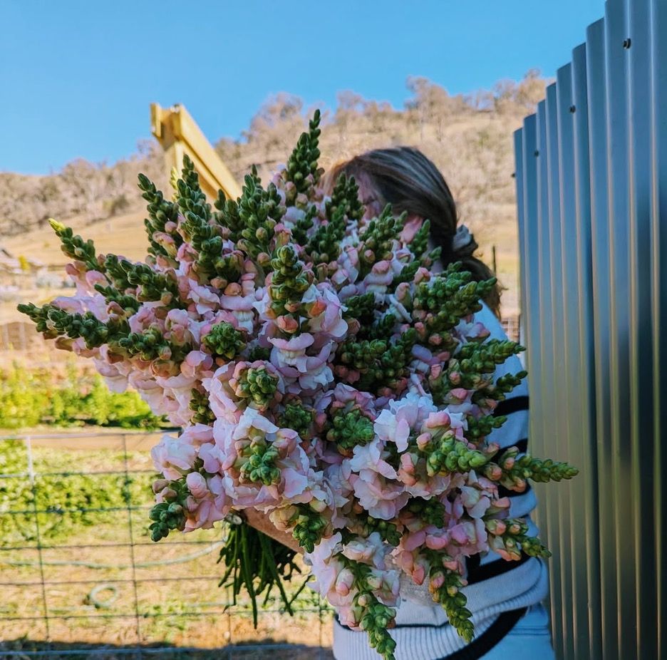 A Woman is Holding a Large Bouquet of Pink and Green Flowers — Hello Poppy Lane Florist in Albury, NSW