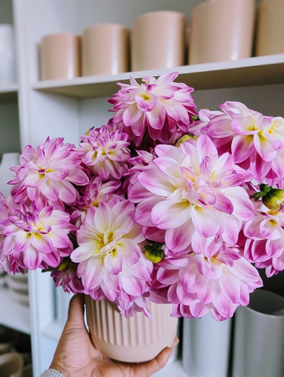A Person is Holding a Vase Filled With Pink Flowers — Hello Poppy Lane Florist in Albury, NSW