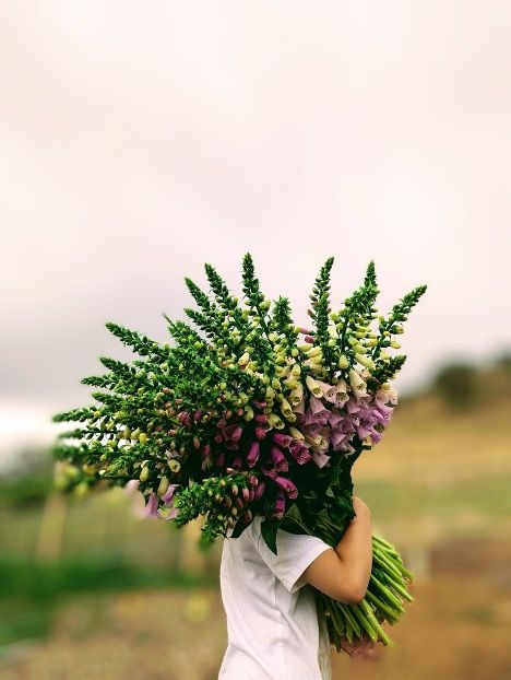Person Holding a Large Bouquet of Purple, White, and Green Flowers, Partially Obscuring Their Face — Hello Poppy Lane Florist In Albury, NSW