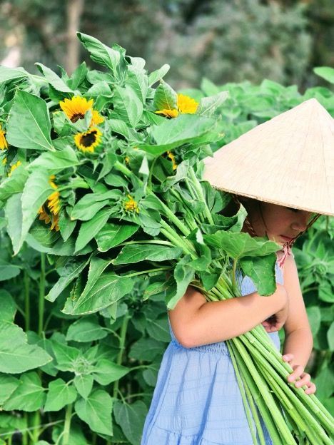 A Child Wearing a Conical Hat Carries a Large Bundle of Sunflowers in a Field, With a Blue Dress and Green Foliage — Hello Poppy Lane Florist In Albury, NSW