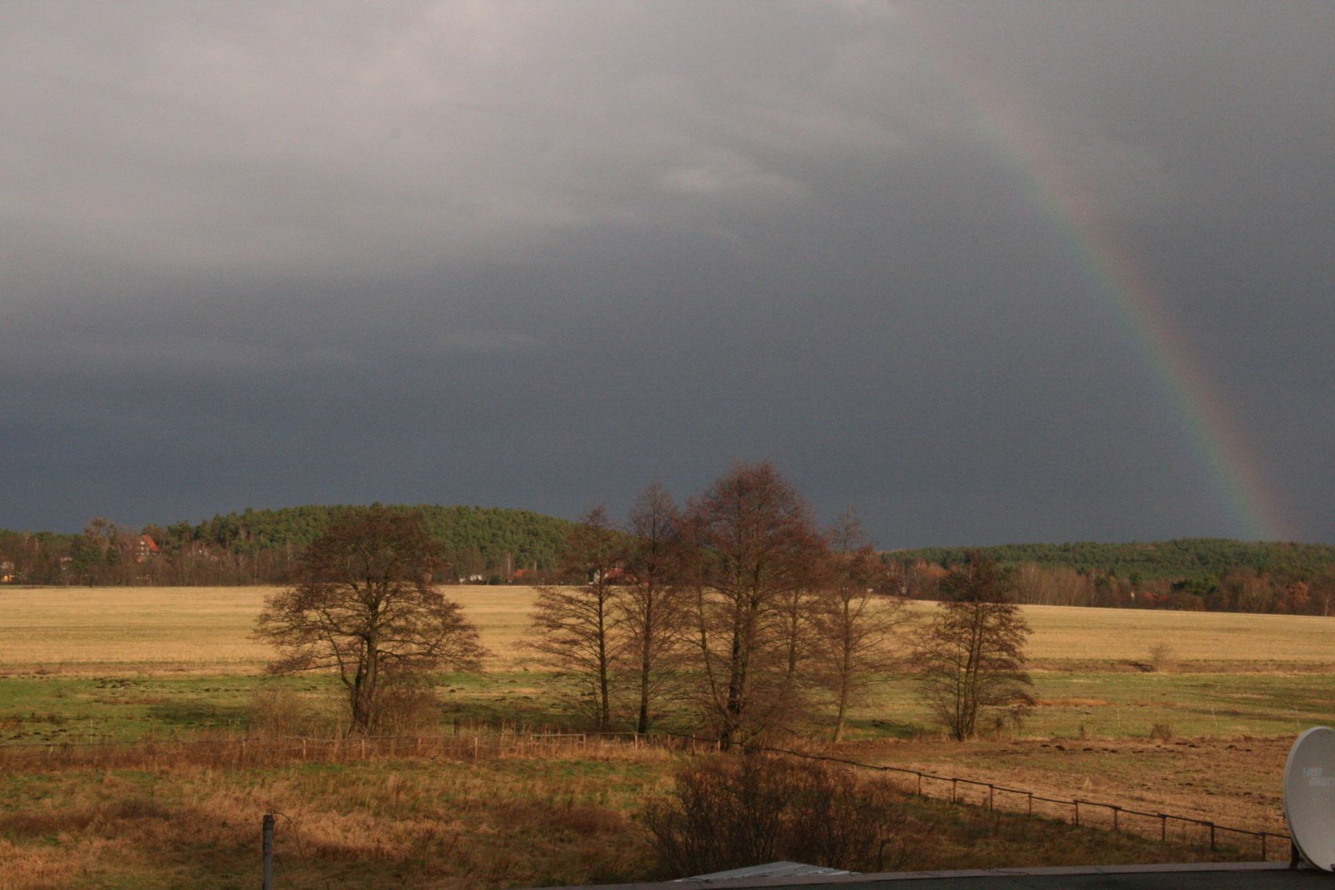 Am Himmel ist über einem Feld mit Bäumen ein Regenbogen zu sehen.