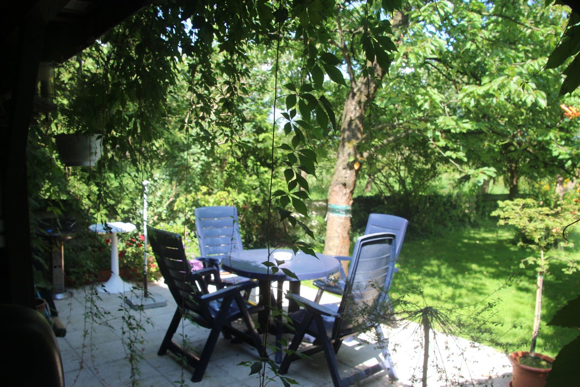 Eine Terrasse mit Tisch und Stühlen unter einem Baum